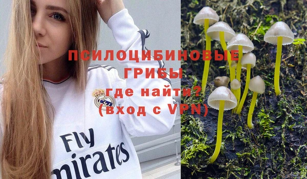 мдпв Балабаново
