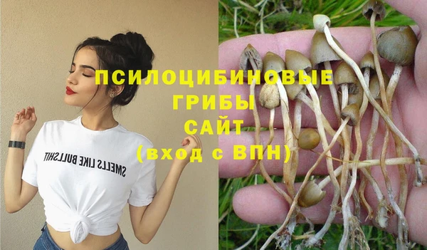 тгк Балахна