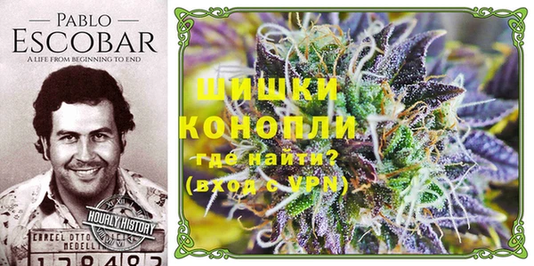 тгк Балахна